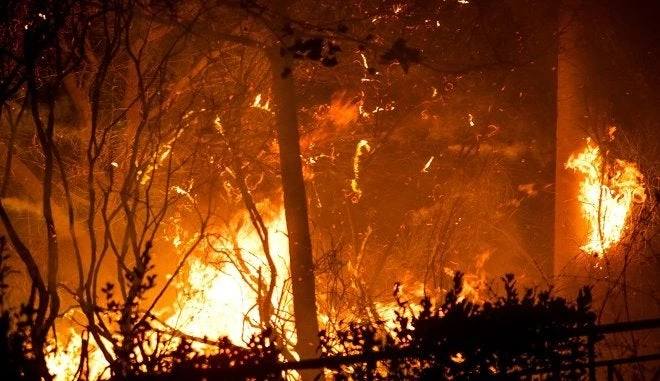 Εως και 1600 βαθμοί Κελσίου αναπτύχθηκαν στην φωτιά στο Μάτι
